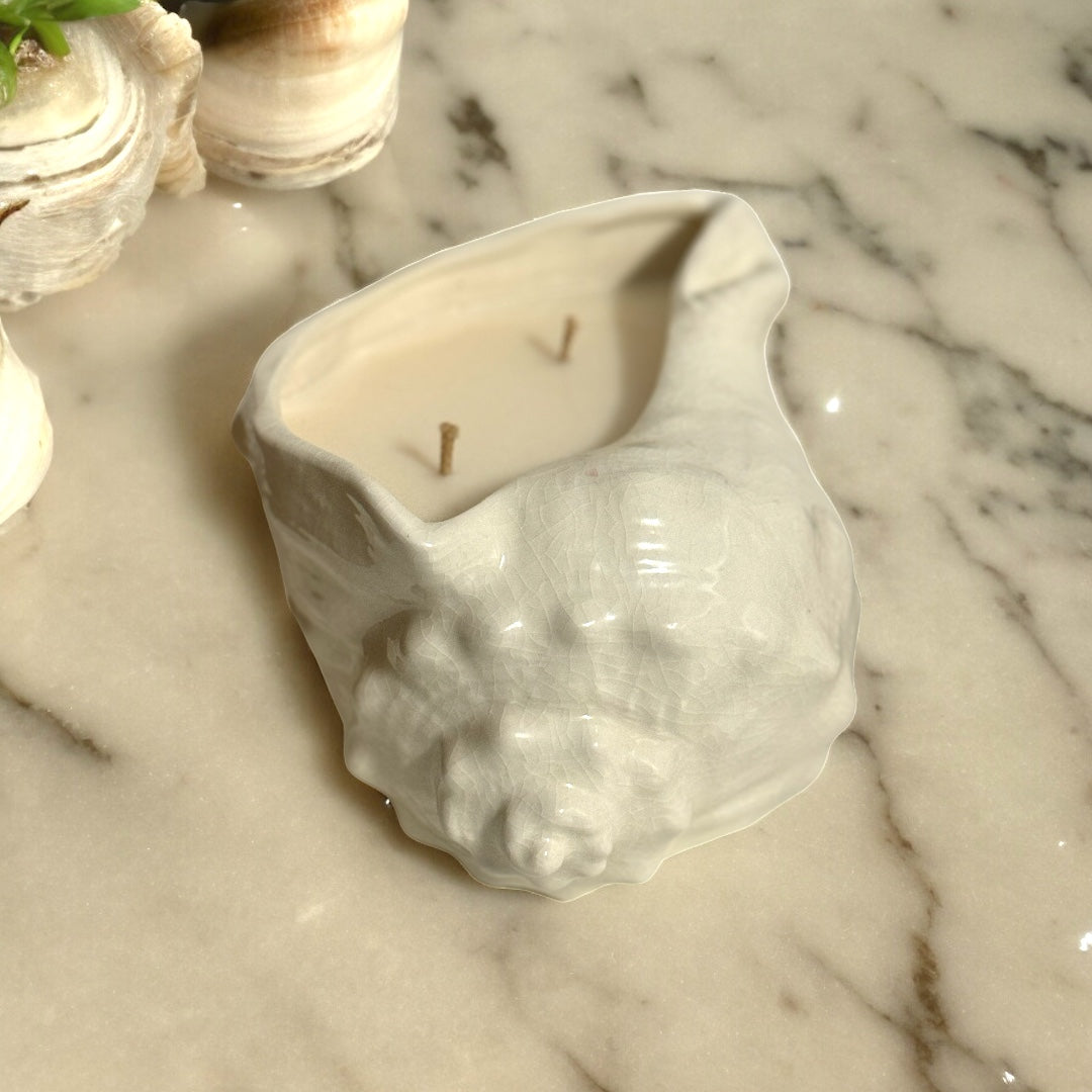 Conch Shell Candle